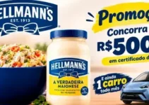 promoção Hellmann's